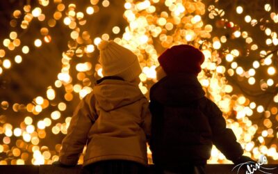 Auguri di buon Natale da Aliseo e dalla presidente Mariapia Bonanate